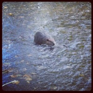 578444_10152194667365438_998627285_n