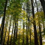 481027_504132522939625_1332091391_n