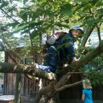 421352_490611350958409_1701056732_n