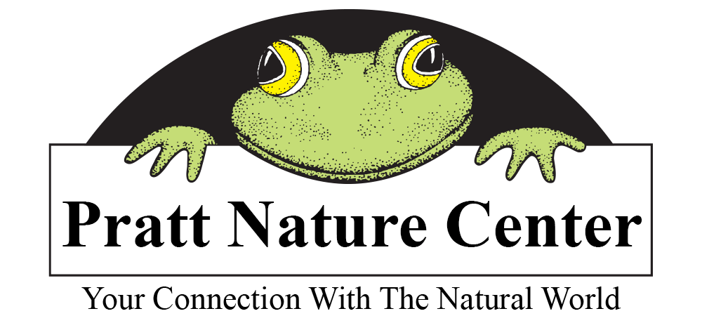 Pratt Nature Center